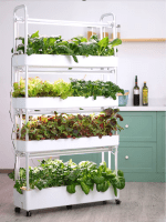4-Tier Hydroponic Indoor Vegetable Planter with LED Grow Lights - Image 7