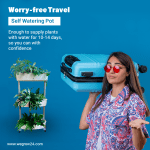 3-Tier Self-Watering Vertical Planter for Indoor & Balcony Gardens - Image 10