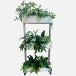 Grow24-Three-tier white self-watering vertical planter with wheels and water level window for indoor and balcony vegetable gardening
