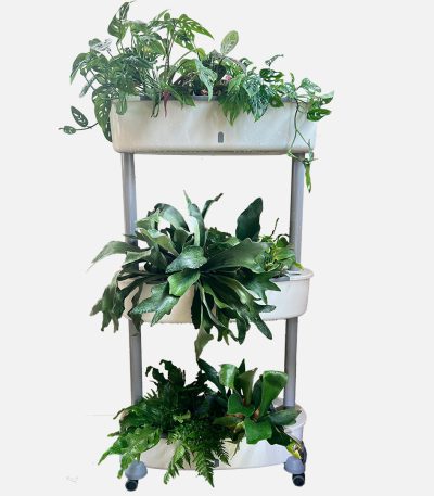 Grow24-Three-tier white self-watering vertical planter with wheels and water level window for indoor and balcony vegetable gardening