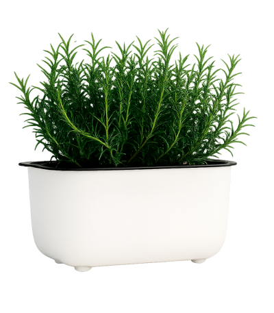 Grow24-modern-self-watering-image