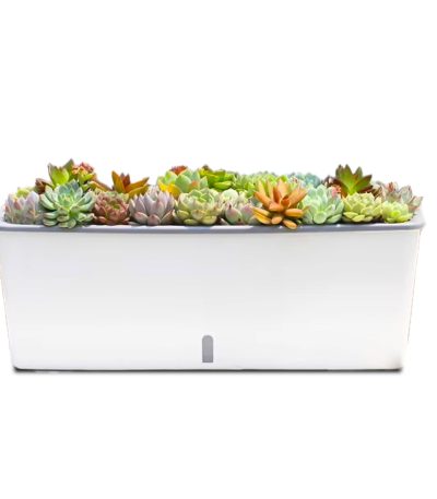 Grow24-White rectangular self-watering planter box with inner gray basket and visible water level window on the front