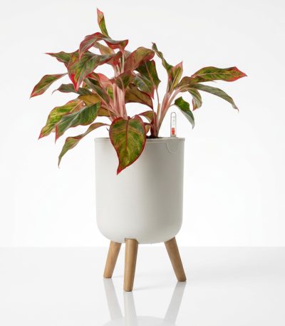 Grow24-White self-watering floor planter with inner liner, water level gauge, and wooden legs shown in a modern living room