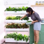 4-Tier Hydroponic Indoor Vegetable Planter with LED Grow Lights - Image 3