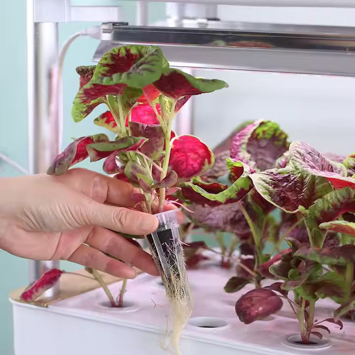 4-Tier Hydroponic Indoor Vegetable Planter with LED Grow Lights - Image 6