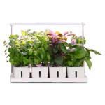 grow24-Infographic of a hydroponic indoor garden kit showing sunlight‑bionic LED lamp, separate planting boxes, root baskets, water‑injection port, and spectrum chart for 400–800 nm full‑spectrum light