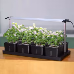 Hydroponic Indoor Garden Kit with Separate Planting Boxes - Image 3