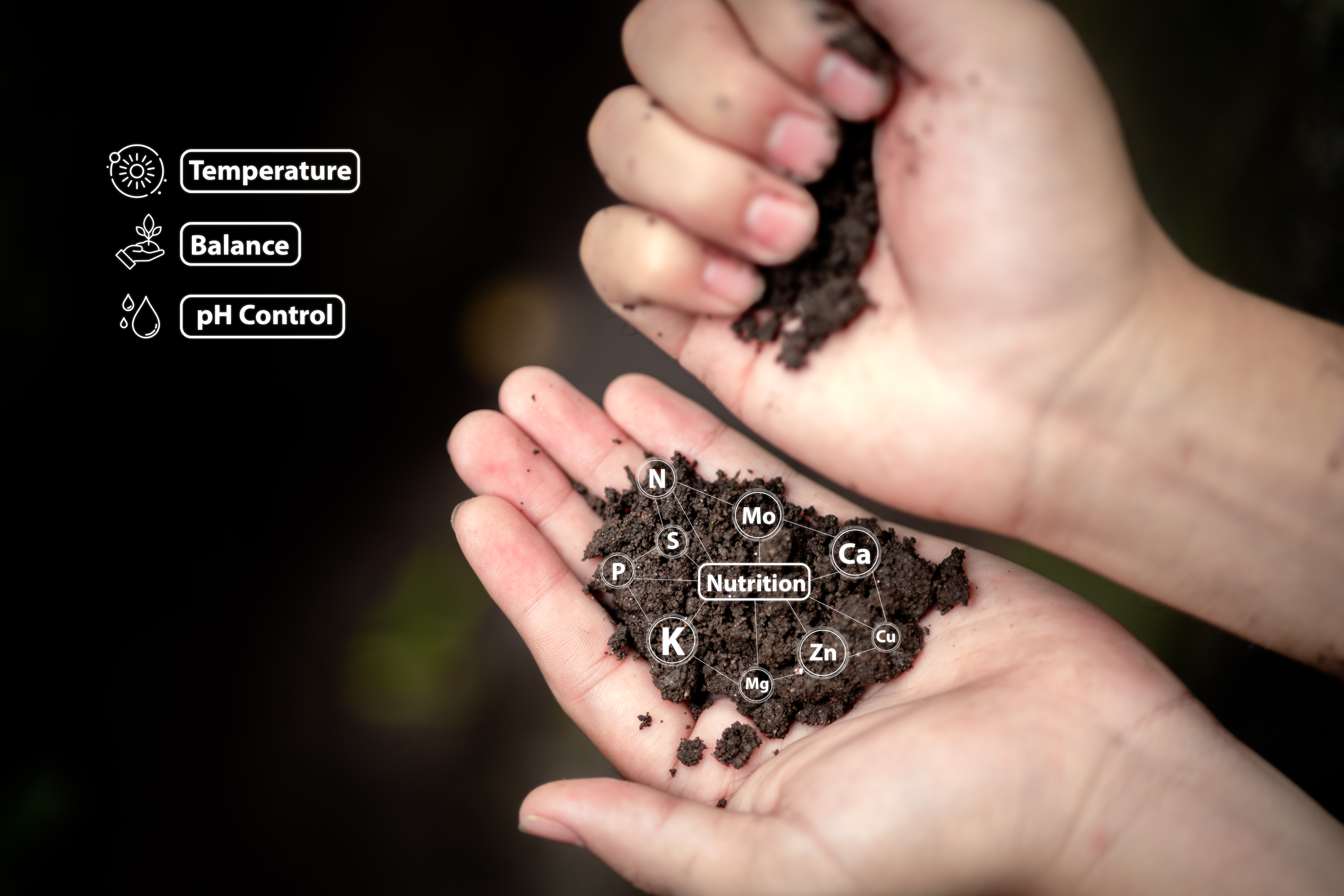 grow24-testing-fertile-soil-outdoors-closeup-with-needed-planting-future-agriculture
