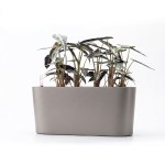 grow24 - HydroNest self watering planter