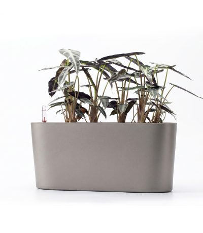 grow24 - HydroNest self watering planter
