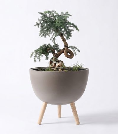 Grow24 - Aurelo Modern Floor Planter