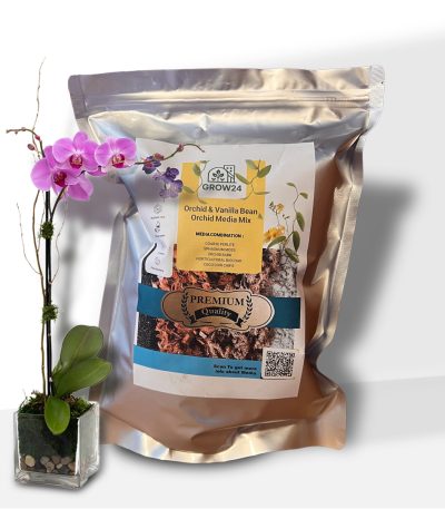 Grow24_Orchid Soil Mix_ Cover_1080x1080